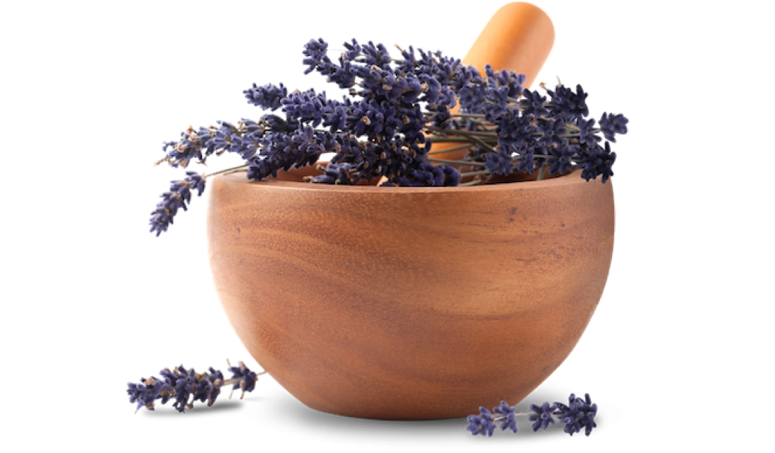 Merchant product bowl lavender generic